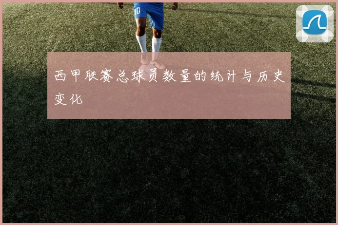 西甲联赛总球员数量的统计与历史变化